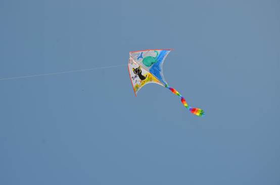 DSC_5628